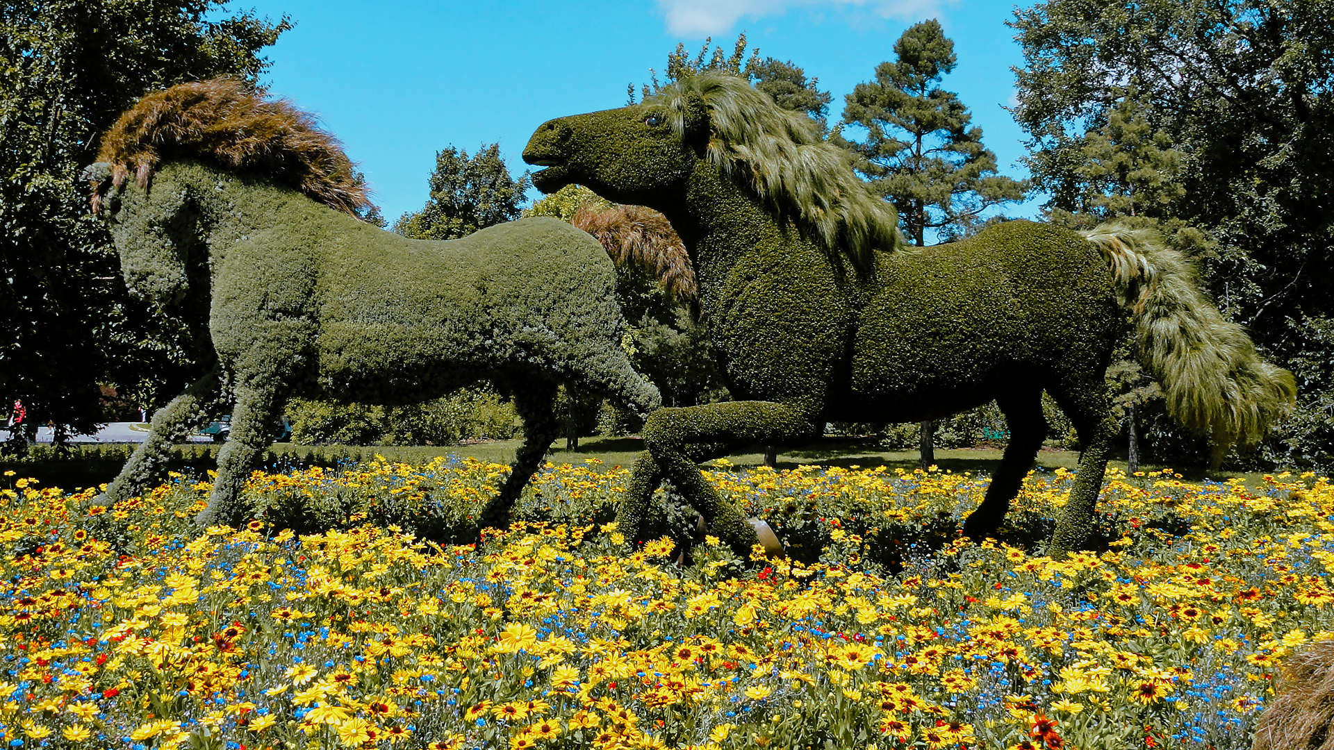 Mosaïcultures (2D et 3D)