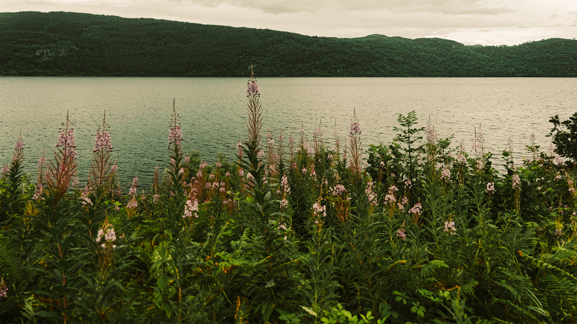 Aménagement longeant les berges