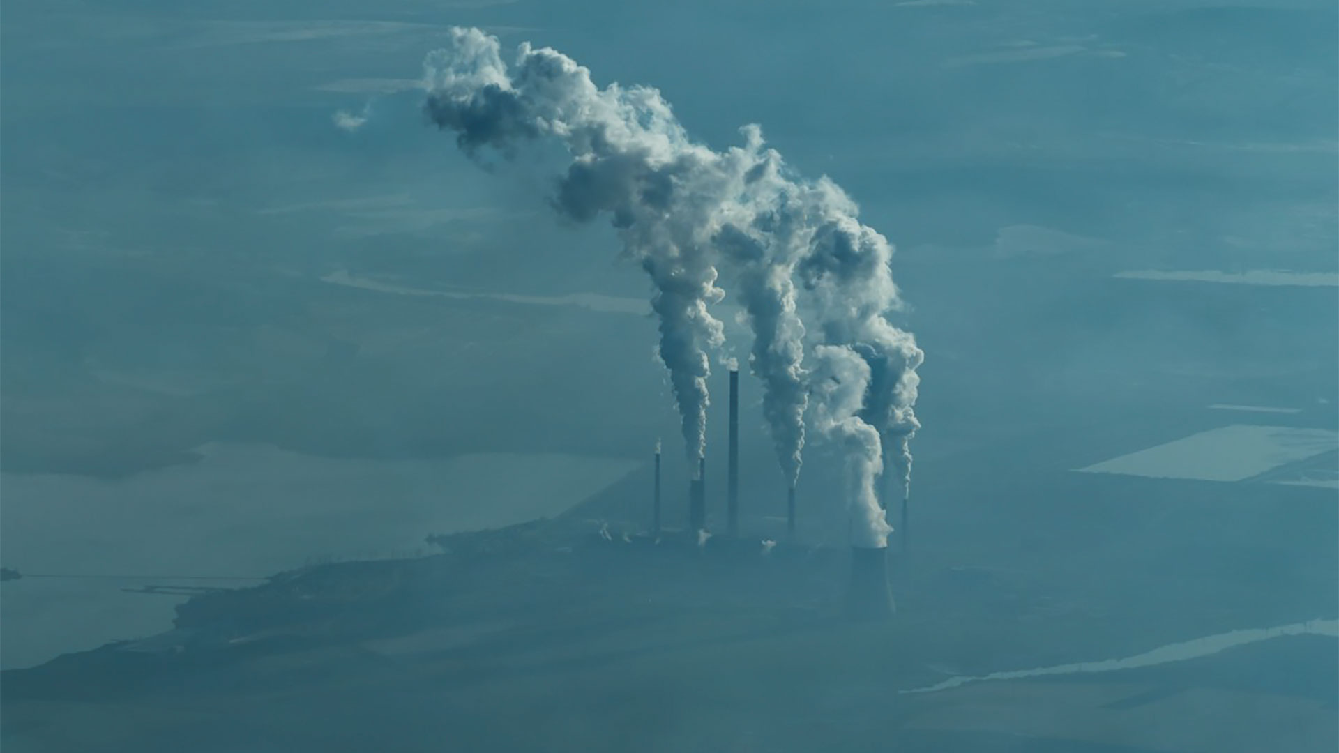 Horticulture Urbaine