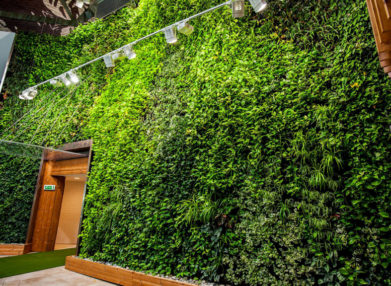 Marek_Sobola_Green_wall_1920