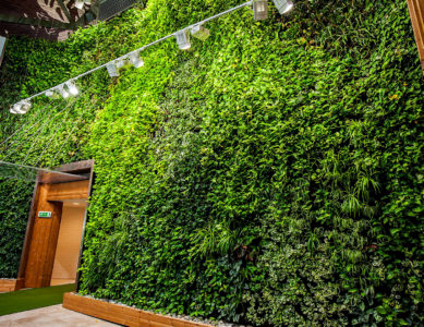 Mur végétalisé