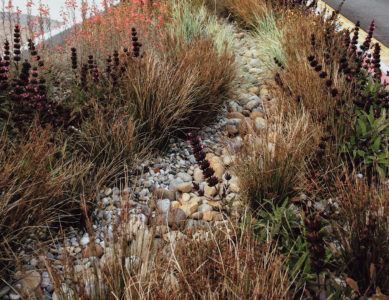 Aires de biorétention