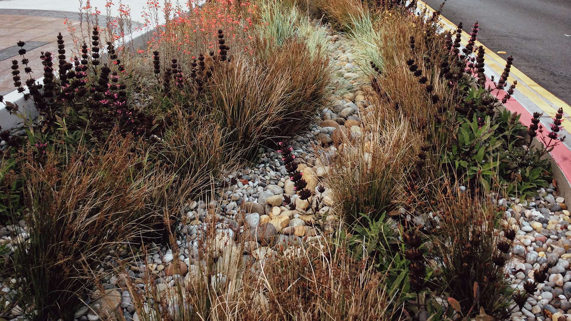 Horticulture Urbaine