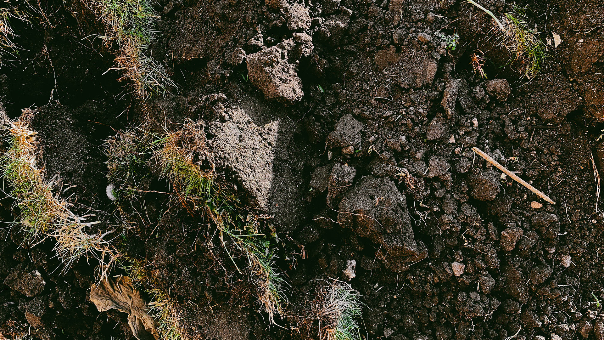 Horticulture Urbaine