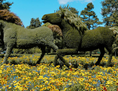 Mosaïcultures (2D et 3D)