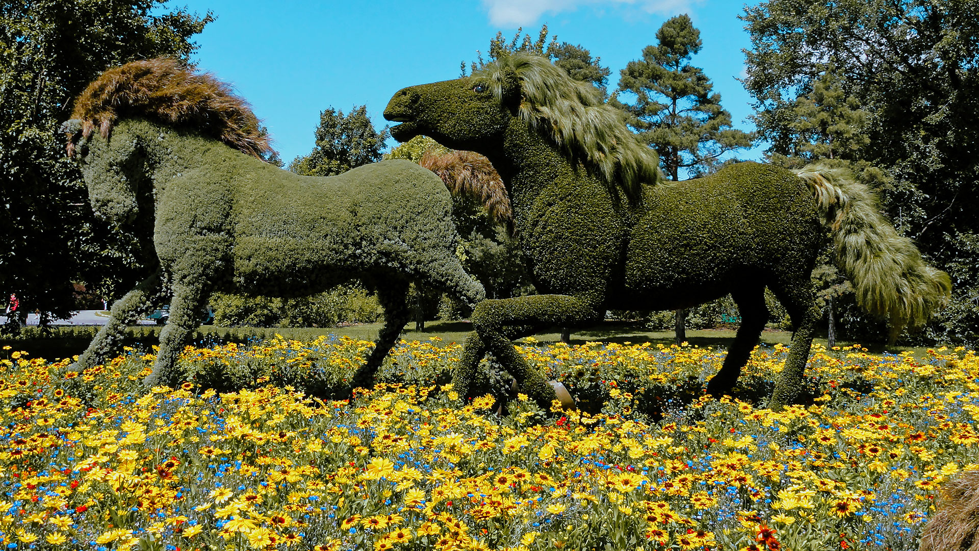 Horticulture Urbaine