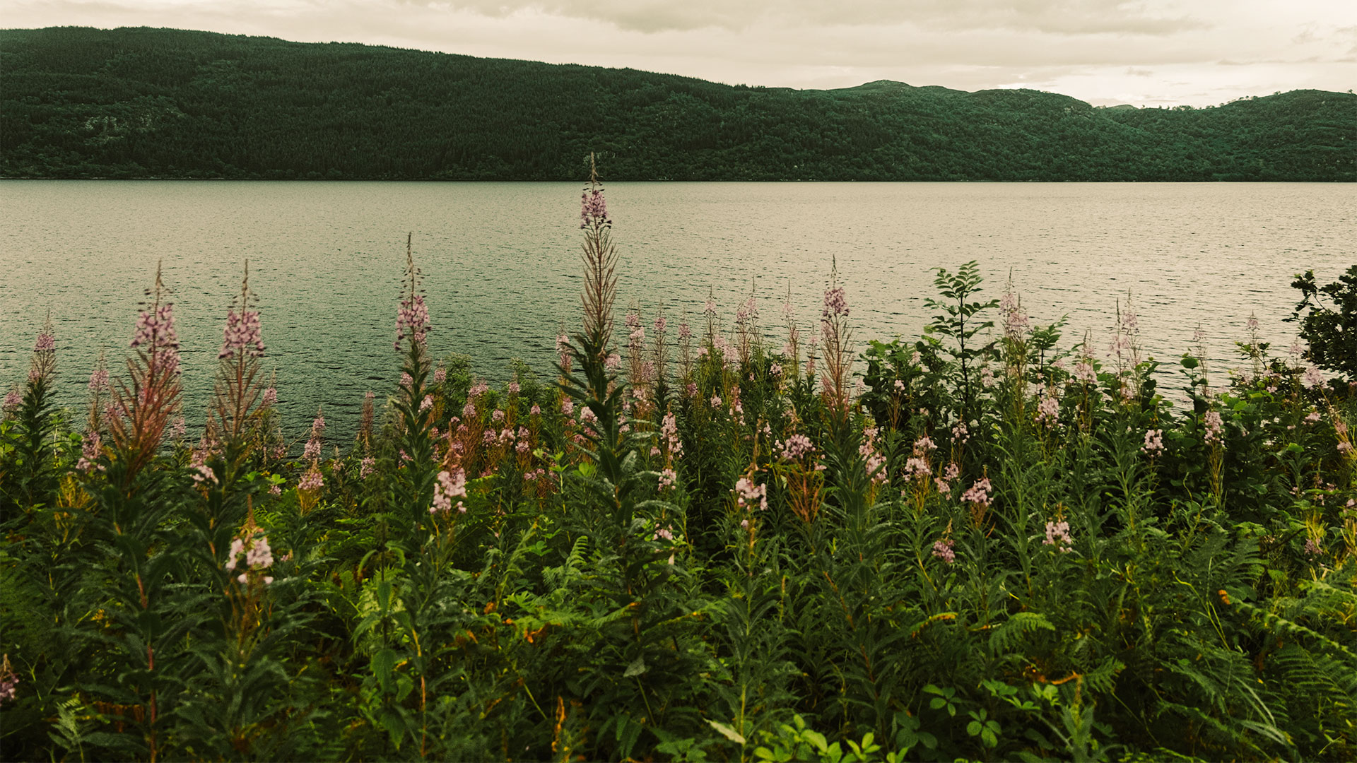 Horticulture Urbaine