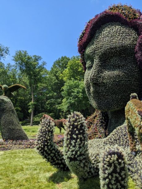 PXL_20220624_164817789